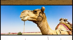 Ragasthan Festival 2012, Jaisalmer