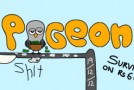 Pigeon Shit #10 – Cash Flow