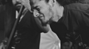 Pictures: Bombay Asylum Vol II The Rot Pack