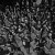 Photos: Black Metal Krieg 3, Thane