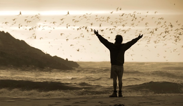 Into The Wild