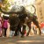 Photos: Kala Ghoda Arts Festival 2014